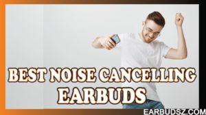 Best Noise Cancelling Earbuds in 2022
