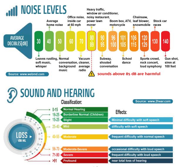 total silence ear plugs (2)